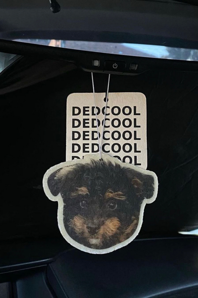 Dedcool 02 Air Freshener at Parc Shop | Minneapolis, MN