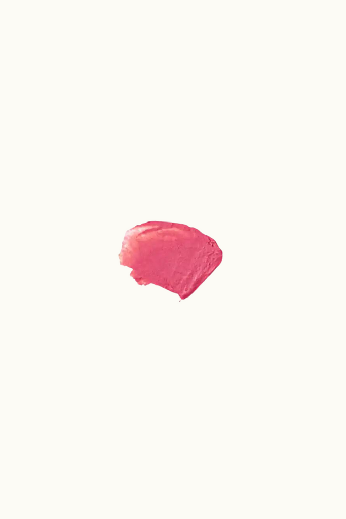 French Girl Organics Le Lip Tint in Bien Fait at Parc Shop